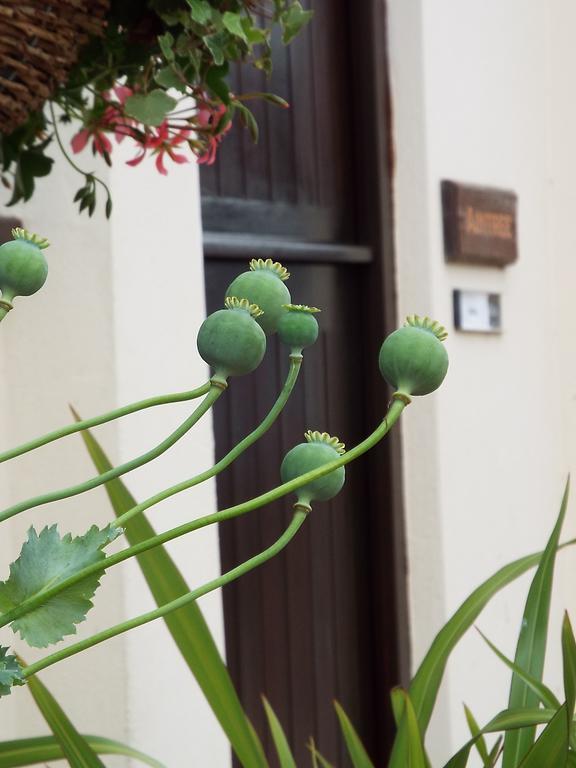 The Stableyard Apartment Bedford Ruang foto